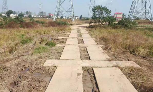 微信截圖_20220626154856.jpg 微信截圖_20220626154856.jpg